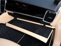 Panamera 2013款 Panamera图片
