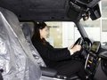 奔驰G级AMG 2013款 奔驰 G65图片