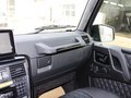 奔驰G级AMG 2013款 奔驰 G65图片
