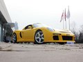 RUF CTR3 RUF如虎 CTR 3 3.8L MT 2013款图片