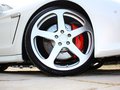 RUF RXL 2013款 RUF如虎 RXL 基本型图片