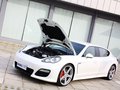 RUF RXL 2013款 RUF如虎 RXL 基本型图片