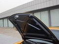 RUF Rt 12 R 2013款 RUF如虎 Rt 12 R 标准型图片