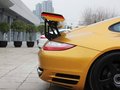 RUF Rt 12 R 2013款 RUF如虎 Rt 12 R 标准型图片