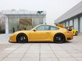 RUF Rt 12 R 2013款 RUF如虎 Rt 12 R 标准型图片
