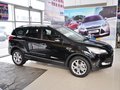 翼虎 2013款 翼虎 2.0T 四驱运动型图片
