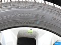 翼虎 图片
