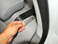 宝来 1.6L 自动 时尚型 2013款图片