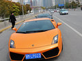 Gallardo 2011款 LP550-2图片