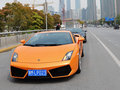 Gallardo 2011款 LP550-2图片