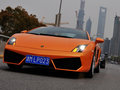 Gallardo 2011款 LP550-2图片