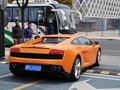 Gallardo 2011款 LP550-2图片