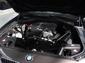 宝马5系(进口) 2013款528i 2.0T AT xDrive豪华型图片