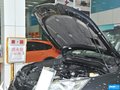 森林人 图片
