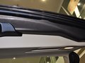 宝马X5(进口) X5 3.0T AT xDrive 35i领先型 2013款图片