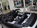 标致207(进口) 2013款 1.6L 自动 CC 豪华型图片