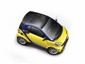 smart fortwo 2013款 新年特別版圖片