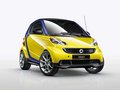 smart fortwo 2013款 新年特別版圖片