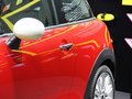 MINI PACEMAN 图片