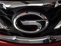 傳祺GS5 1.8T 自動 四驅(qū)豪華版 5座 2013款圖片