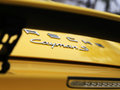 Cayman 2013款 S 3.4L DCT图片