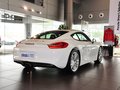 Cayman 2.7L 2013款图片