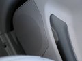 财运300 2.2L 手动 汽油豪华型短货箱 2010款图片