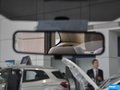 福克斯 图片