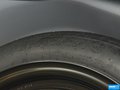 福克斯 图片