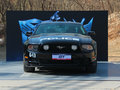Mustang 2013款 GT 5.0L 手动 标准型图片