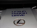 雷克萨斯CT 2013款 CT200h 1.8L CVT 暗夜骑士版图片
