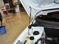 H30 CROSS 风神新H30 CROSS 1.6L MT 尊尚型 2013款图片