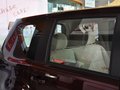 骊威 1.6L 手动 舒适型 2013款图片