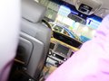路帝 图片