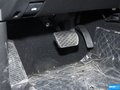 雷斯特W 图片