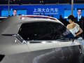 锐腾 2014款 MG CS概念车图片