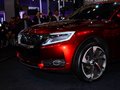 DS wild rubis 2013款 DS wild rubies图片