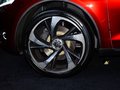 DS wild rubis 2013款 DS wild rubies图片