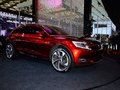 DS wild rubis 2013款 DS wild rubies图片