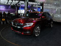 DS wild rubis 2013款 图片