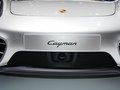 Cayman 2013款 保時捷Cayman圖片