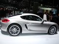 Cayman 2013款 保時捷Cayman圖片
