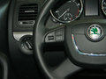 Yeti（进口） 2013款 1.8T DCT 尊享版 5座图片