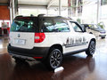 Yeti（进口） 2013款 1.8T DCT 尊享版 5座图片