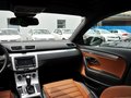 大众CC 2013款 2.0TSI DSG 至尊型图片
