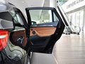 宝马X6 宝马X6 3.0T AT xDrive35i 2013款图片