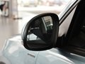途观 2013款 途观 1.4TSI 蓝驱版图片