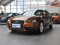 奥迪A5 2.0T Sportback 风尚版 2013款图片