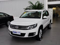 途观 2013款 1.8TSI 自动 两驱豪华型图片