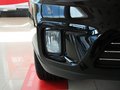 狮跑 2013款 2.0GLS 自动两驱图片